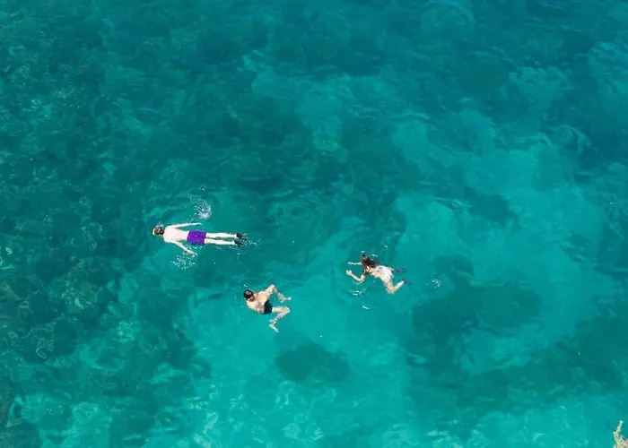 Pollock-bozzi 59 דירה *